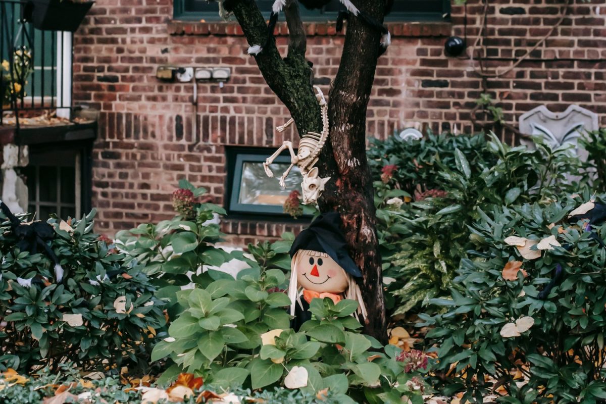 Halloween Scavenger Hunt for Kids: A Free Printable for a Party at Home